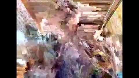 lyn_eva online show from March 7, 11:07 am