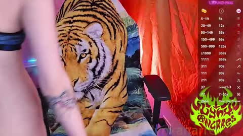 Lynx Anarres online show from November 17, 3:12 am