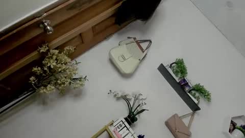 Snapshot of m1ssjanelana69 chatting on February 13, 12:50 am Janelovesu online show from February 13, 12:50 am