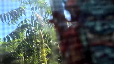 Snapshot of m444rk chatting on February 15, 8:38 pm SLoppYxXPeeHoLeXxGspotxX online show from February 15, 8:38 pm