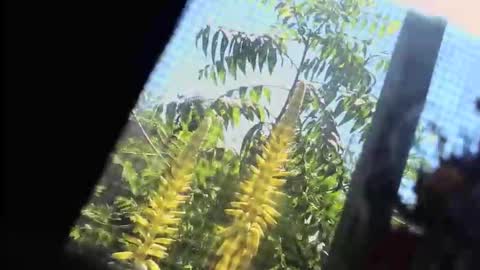 SLoppYxXPeeHoLeXxGspotxX online show from February 22, 7:34 pm