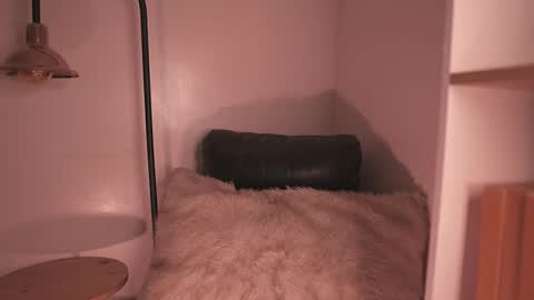 Noah Askew online show from December 15, 8:35 pm