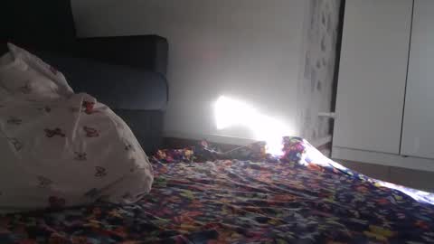 Julia online show from March 30, 2:01 am