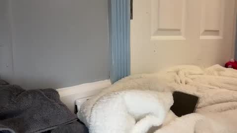 madibaby999 online show from January 15, 10:24 pm