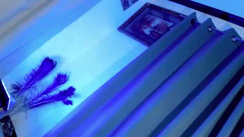 majesticcock_kyla online show from November 27, 3:03 pm