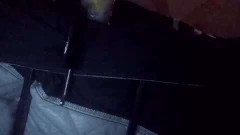 makeunumb88 online show from March 20, 6:51 am