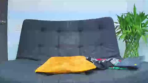 Snapshot of malcompierce chatting on February 6, 2:16 am Malcom online show from February 6, 2:16 am