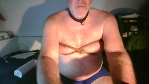 CommandbondageNipples bondage kink submissive lovense slave wgear. modequiethvyBondage If Password goldfish online show from November 25, 7:41 am