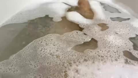 Monad online show from November 10, 9:03 pm