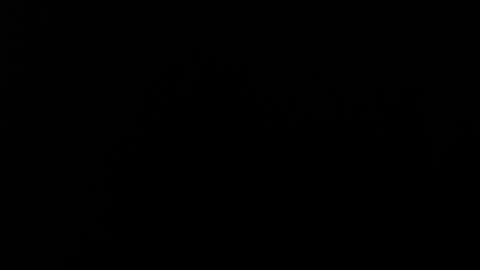 Alice Asylum online show from November 20, 4:01 am