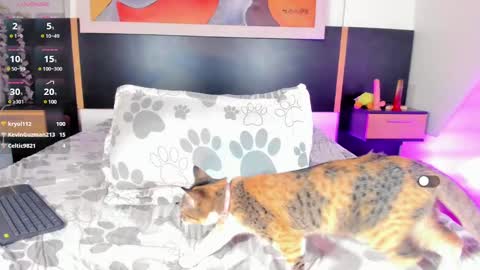 Manelyk Pindters online show from February 9, 6:33 am