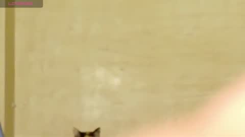 Snapshot of manumeow_ chatting on June 18, 1:06 am Manu online show from June 18, 1:06 am