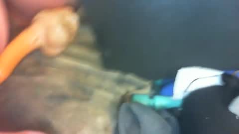 Snapshot of marcsexxy chatting on January 1, 10:35 pm Marc online show from January 1, 10:35 pm