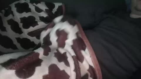 Snapshot of marekishere chatting on November 14, 12:48 pm marek online show from November 14, 12:48 pm