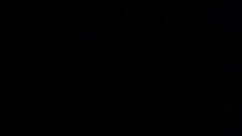 Elle online show from November 15, 3:30 pm