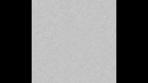 Margot online show from March 4, 11:19 am