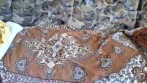 marian20242025 online show from November 1, 7:10 am