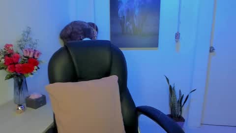 Snapshot of marianalopez81 chatting on March 2, 1:04 am Mariana Lopez online show from March 2, 1:04 am