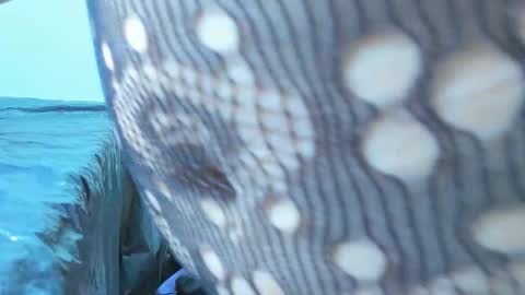 marilynwett online show from March 21, 1:54 am