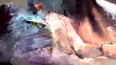 mark102839 online show from March 13, 8:26 pm