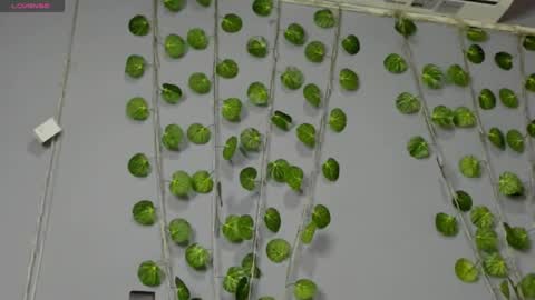 Snapshot of marly7890 chatting on February 28, 2:42 am marly online show from February 28, 2:42 am