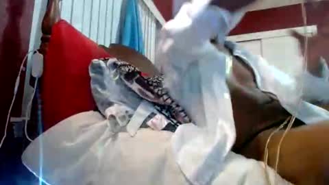 Snapshot of marrieddlbottomhungdltop chatting on October 18, 6:58 am Reparations for the departed online show from October 18, 6:58 am