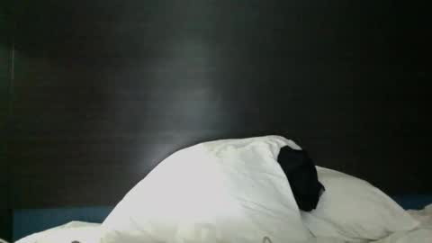 Reparations for the departed online show from April 4, 11:46 pm