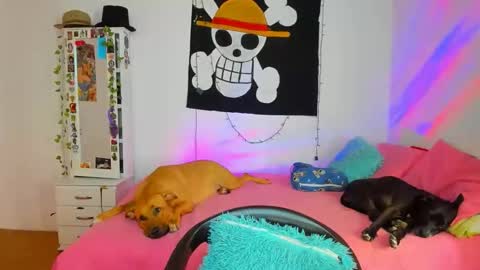 Snapshot of mary_jane1_ chatting on April 18, 7:07 pm mary online show from April 18, 7:07 pm