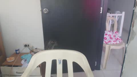 Snapshot of maryam_arabicmilk chatting on January 8, 3:07 pm maryam_arabicmilk online show from January 8, 3:07 pm