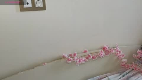 Hi Im Olivia Im new here3 online show from May 10, 3:12 am