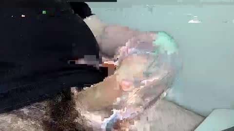 Snapshot of mas12345678910 chatting on December 1, 4:29 pm mas12345678910 online show from December 1, 4:29 pm