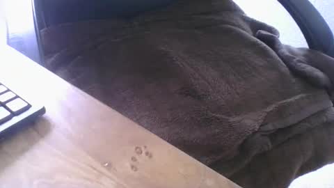 Snapshot of maskime59 chatting on February 21, 1:45 pm maskime59 online show from February 21, 1:45 pm