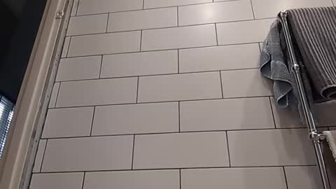 Bob online show from October 14, 8:15 am