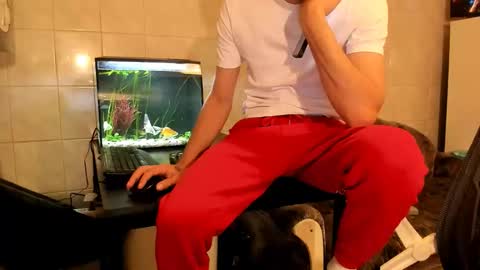 Snapshot of mastermiko chatting on February 22, 7:34 pm Silly Rabbit online show from February 22, 7:34 pm