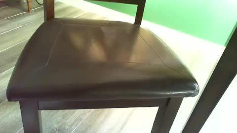 masturbater584277 online show from July 10, 12:30 pm
