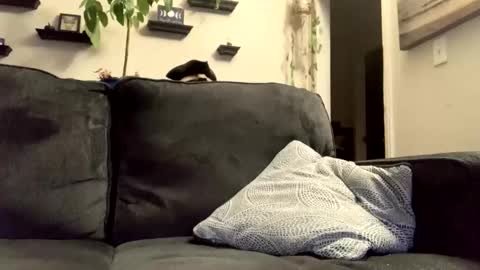 Snapshot of masturbationsession69 chatting on January 8, 6:37 am masturbationsession69 online show from January 8, 6:37 am