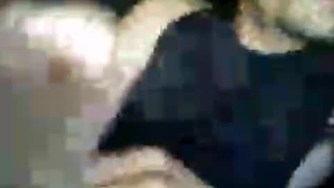 Snapshot of matiasva73 chatting on July 7, 9:57 am matiasva73 online show from July 7, 9:57 am