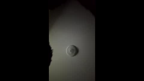 matthewc281 online show from April 4, 7:28 am