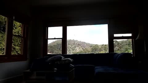 mattlesnake_101 online show from February 15, 12:40 am