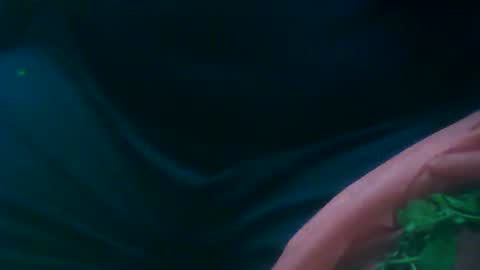 Snapshot of maxijazz1234 chatting on December 1, 10:53 pm IJAZZ online show from December 1, 10:53 pm