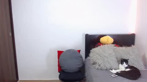 Snapshot of maximus_golden chatting on February 18, 2:51 am Independent Model online show from February 18, 2:51 am