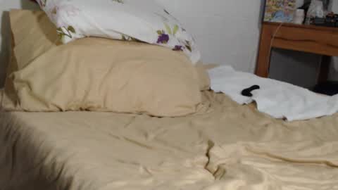 Snapshot of maxxxiimiliano chatting on November 4, 4:44 am Maxx online show from November 4, 4:44 am