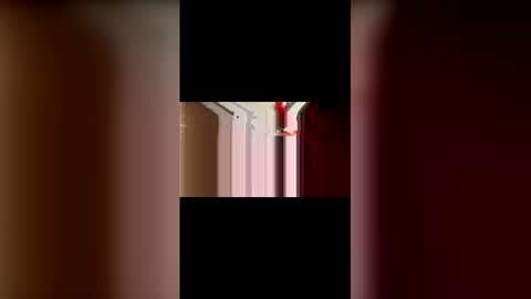 Snapshot of mcgriffwes2 chatting on February 12, 2:17 am mcgriffwes2 online show from February 12, 2:17 am