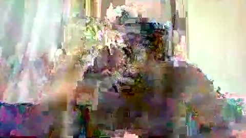 mclntz_bbc online show from May 13, 12:24 pm