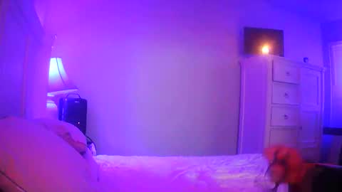 Snapshot of mecrago chatting on January 14, 8:09 am mecrago online show from January 14, 8:09 am