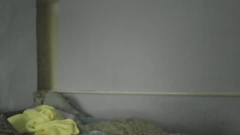 Snapshot of medjik_lool chatting on December 30, 1:14 pm Oltereodora-lima online show from December 30, 1:14 pm