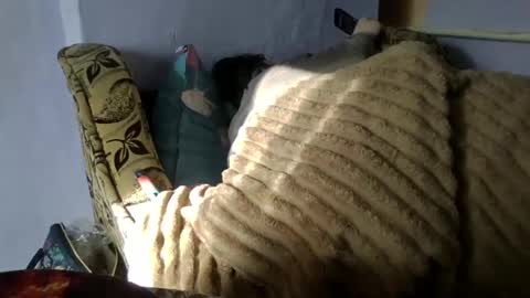 Snapshot of medjik_lool chatting on January 10, 8:40 am Oltereodora-lima online show from January 10, 8:40 am