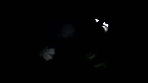 Snapshot of medjik_lool chatting on February 6, 7:07 pm Oltereodora-lima online show from February 6, 7:07 pm