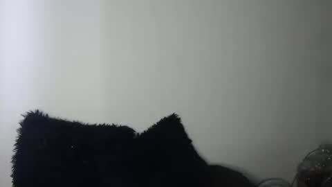 Megan and sophi online show from September 19, 9:37 pm