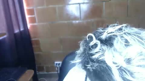 Snapshot of megan_coop3r_ chatting on April 7, 5:13 pm Megan and sophi online show from April 7, 5:13 pm